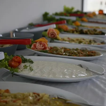 Hotel Sahin Termal Ve